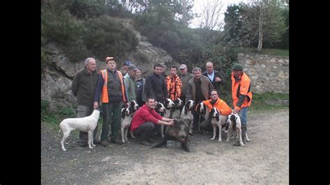  Mesisons: Des Chasseurs Solitaires aux Pattes Fouettées!